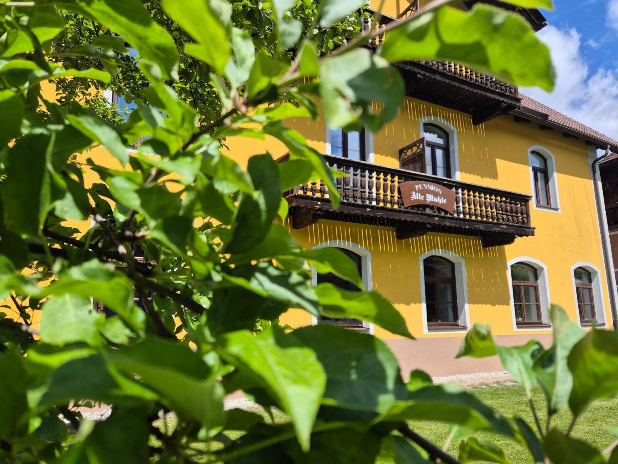 Pension Alte Mühle Gmünd Exterior foto